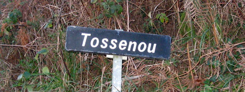 Les racines celtiques des noms des hauteurs. Tpn-tossenou